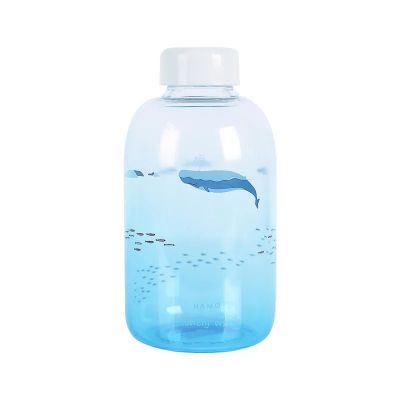 High quality 20oz round shape water soda glass bottle with cap