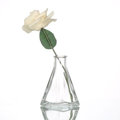 Wholesale 60ml 100ml Reed Diffuser Glass Bottle With Cork 
