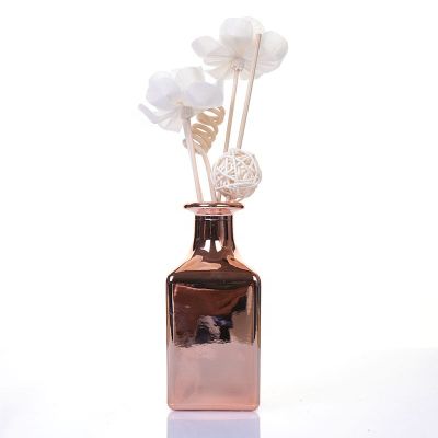 Luxury Home 150ml Aromatherapy Bottle Diffuser Empty Glass Car Aroma Reed Diffuser Glass Bottle 