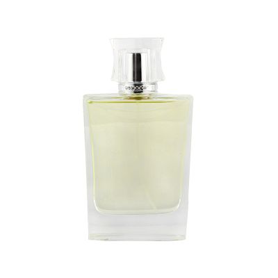 Cheap Custom Empty Perfume 100 ml Spray Bottle Glass 