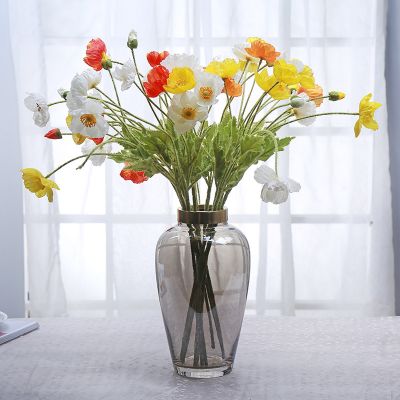 Modern Minimalist Transparent Decorative Glass Vase With Flowers Creative Fashion Home Living Room Dining Room Decoration 