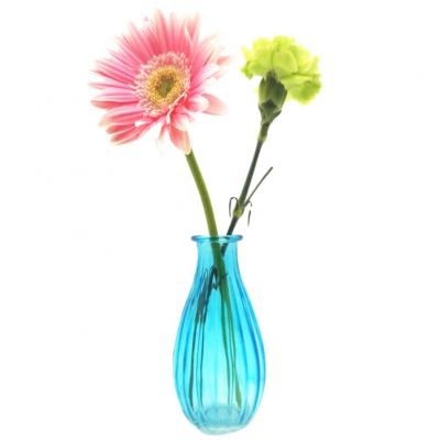 glass vase for flower arrangement