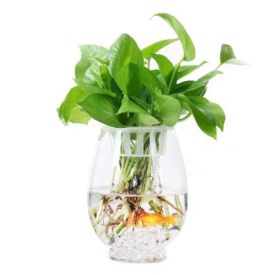 European Creative Dinosaur Egg Vase Simple Hydroponic Green Dill Flower Plant Glassware 