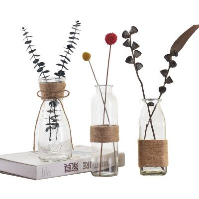 Wholesale creative vase transparent glass living room decoration hydroponic dry flower vase 