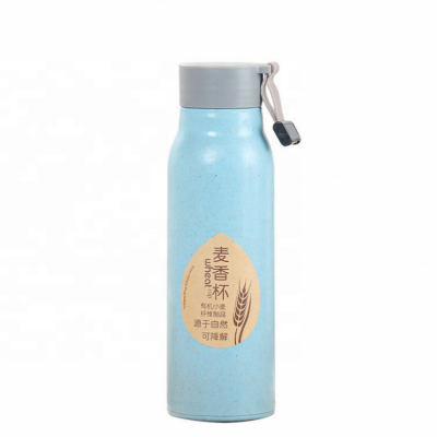 High Quality Eco-friendly Double Wall Glass Biodegradable Wheat Straws Water Bottle 