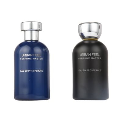 Wholesale Custom Travel Blue Cylindrical 100ml Glass Perfume Spray Bottle 