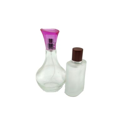High quality 30 ml 50 ml refillable cosmetics containers and packaging glass bottles with colorful cap 