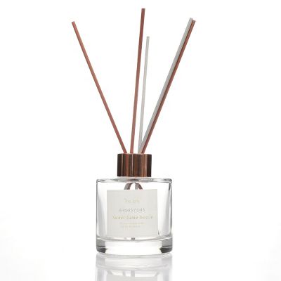 Cylinder 100Ml Mini Fancy Home Empty Aroma Perfume Essential Reed Fragrance Diffuser Bottle 