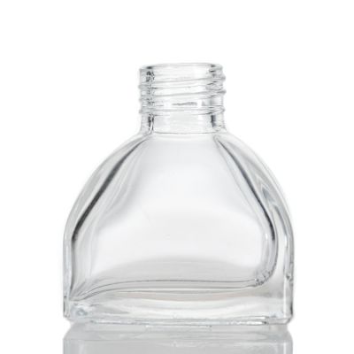 Screw Mouth Flint Ger Shape 50ml Essential Oil Bottle Aroma Reed Diffuser Glass Bottle 