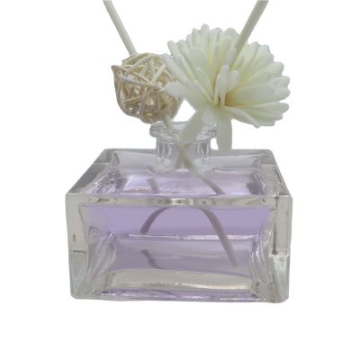 Square Short 100 ML High Quality Empty Glass Bottle Home Use Reed Diffuser Bottles