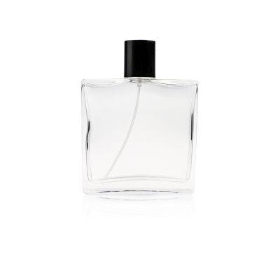 Free samples luxury 30ml 50ml 100ml oblate shape glass mist spray perfume bottle with plastic cap