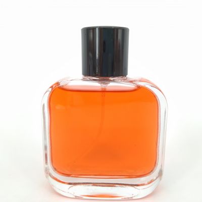 Small Square Empty Clear Empty Glass Perfume Pump Sprayer Bottle 30ML 50Ml 100Ml