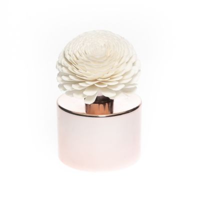 custom luxury design 200ml color plating empty reed glass diffuser perfume bottle bottle 