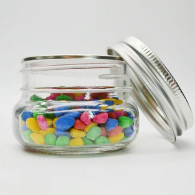 Mini Mason Jars Glass Canning Jars,4 OZ Jelly Jars Silver With Regular Lids