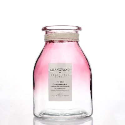 Arts and crafts home luxury decor clear glass vases glass bottle 