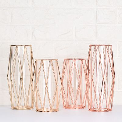 Nordic Wrought Iron Vase Simple Transparent Glass Vase Wedding Flower Vase 
