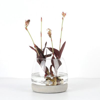 New Nordic Creative Home Decoration Crafts Cement Bottom Mix Transparent Glass Flowers Vase Desktop Flower Arrangement
