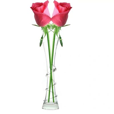 Fresh And Simple Style Transparent Glass Vase Small Slender Desktop Vase