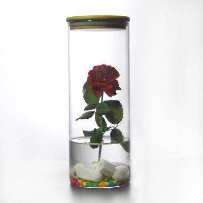 Glass Vase