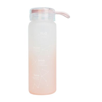 Custom Logo Hot Sell Sport Style frosted Glass Water Bottle 