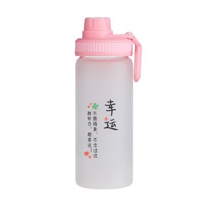 Hot Selling Custom Design Portable Glass Drinking Water Bottle for Outdoor Sports 