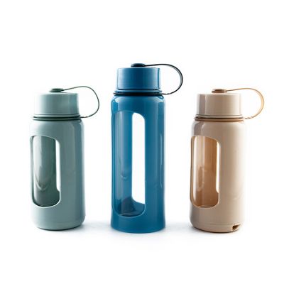 Manufacturing customize High Quality Manufacturing Borosilicate Portable Glass Tea Infuser Water Bottle With Colour 