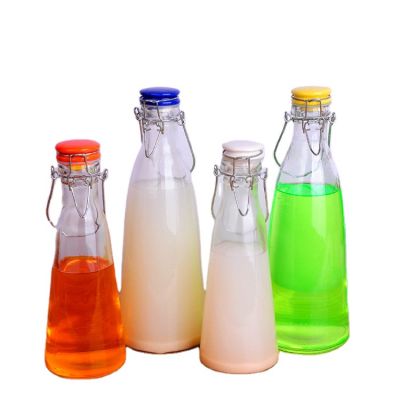 China 500ML Customized Glass Bottle for Milk Fruit Wine 