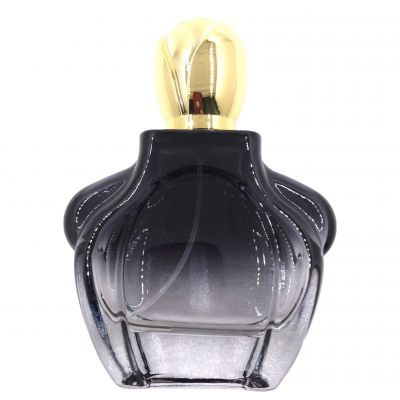 100ML Professional brand custom empty perfume bottles with ABS cap