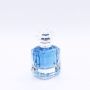 round irregular oblate elliptical empty glass perfume bottles for sale 