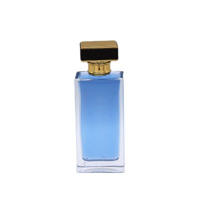 supplier 100ml empty glass spray cosmetic container hot clear perfume bottle