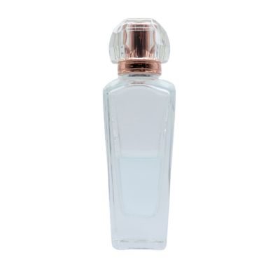 80ml Free samples refillable mist spray atomizer spray bottle perfume empty bottle 