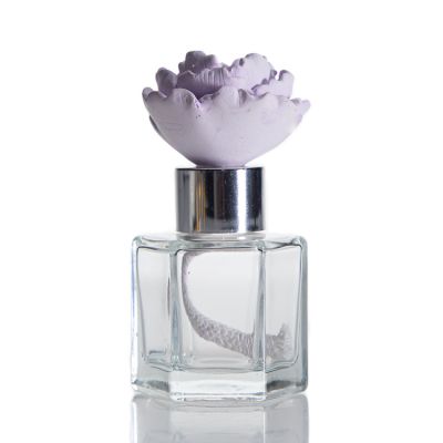 Supplier Design Clear Aromatherapy Bottle Glass Hexagon Empty 50ml Reed Diffuser Bottle 