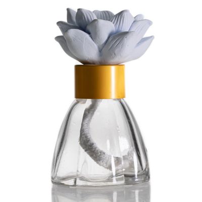 Wholesale Aroma Oil Bottle Recycle Clear 50ml Empty Glass Diffuser Bottles