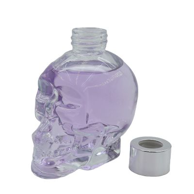 Special design skull 170 ml glass bottles empty reed Diffuser bottle with screw lid