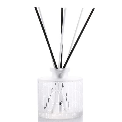 Unique Design 2021 Empty Home 100ML Aroma Difuser Perfume Bottle