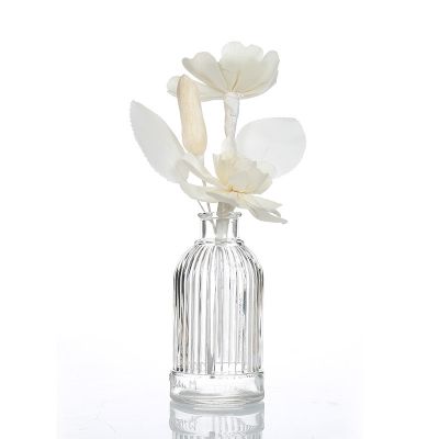 Wholesale Empty 50ml 100ml 200ml Round Plug Strange Aromatherapy Reed Diffuser Essential Oil Glass Bottle