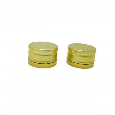 Custom Food Grade 22mm 25mm Tamper Evident Soda Juice Aluminium Bottle Cap