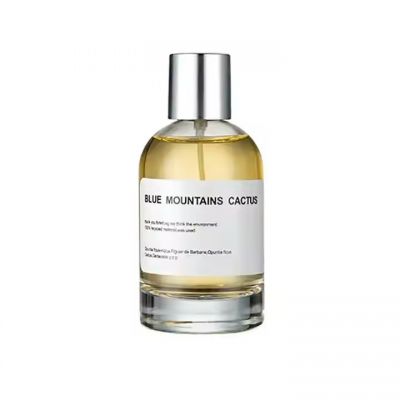 Empty Perfume Bottles 30Ml 50Ml 100Ml Wholesale Glass Perfume Bottles
