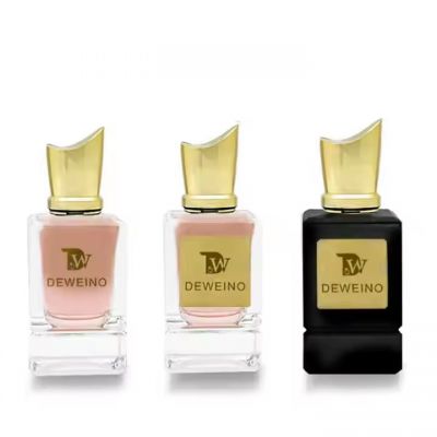 Hot Selling Perfume Empty Bottle Square Black Clear Perfume Bottle 30ml 50ml 100ml Perfume Glass Bottles With Packaging